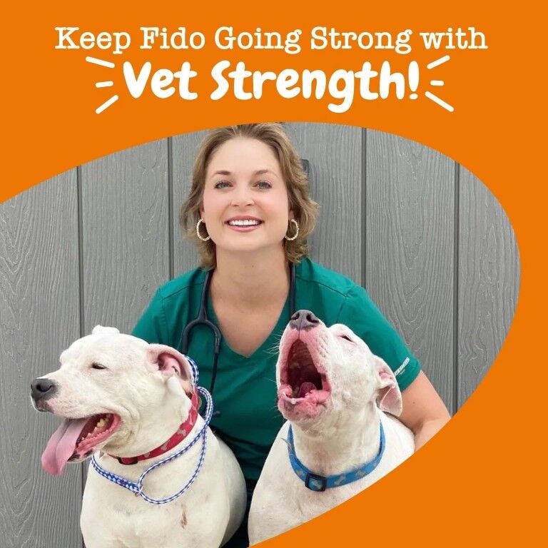 Zesty Paws Vet Strength Pre, Post, & Probiotic Bites For Dogs, 90-Ct