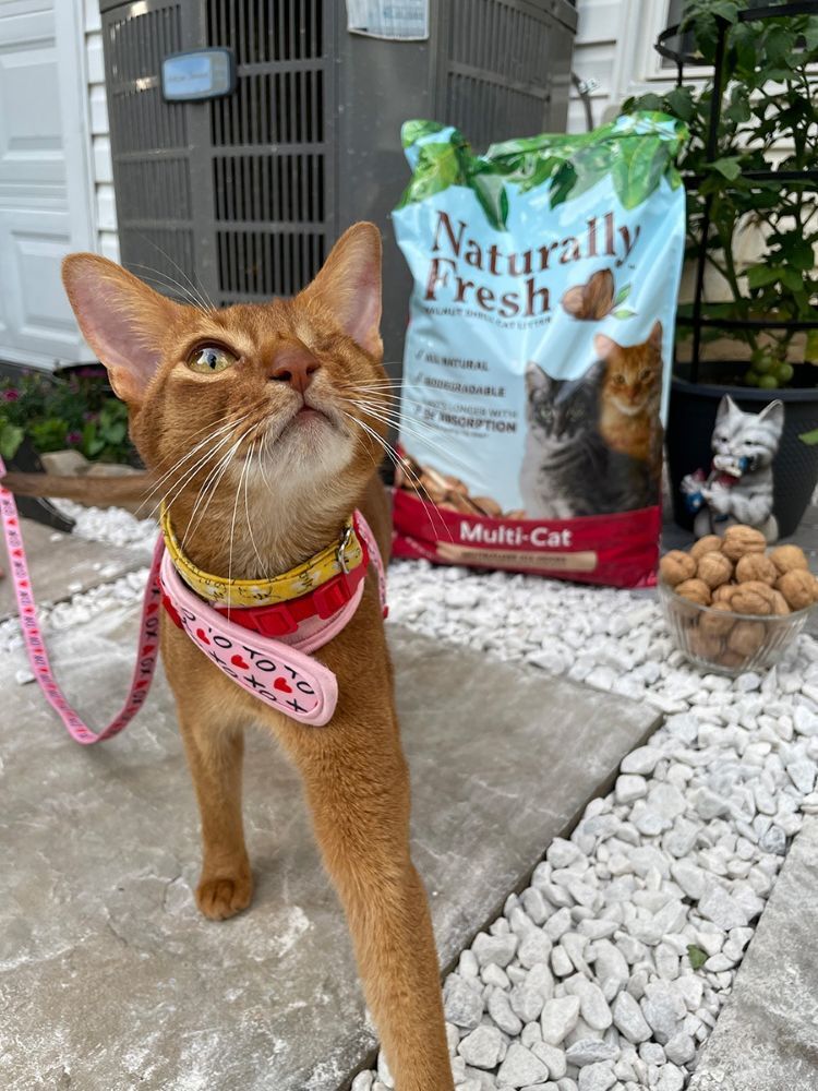 Naturally Fresh Multi-Cat Formula Walnut Smell Cat Litter, 26-Lb