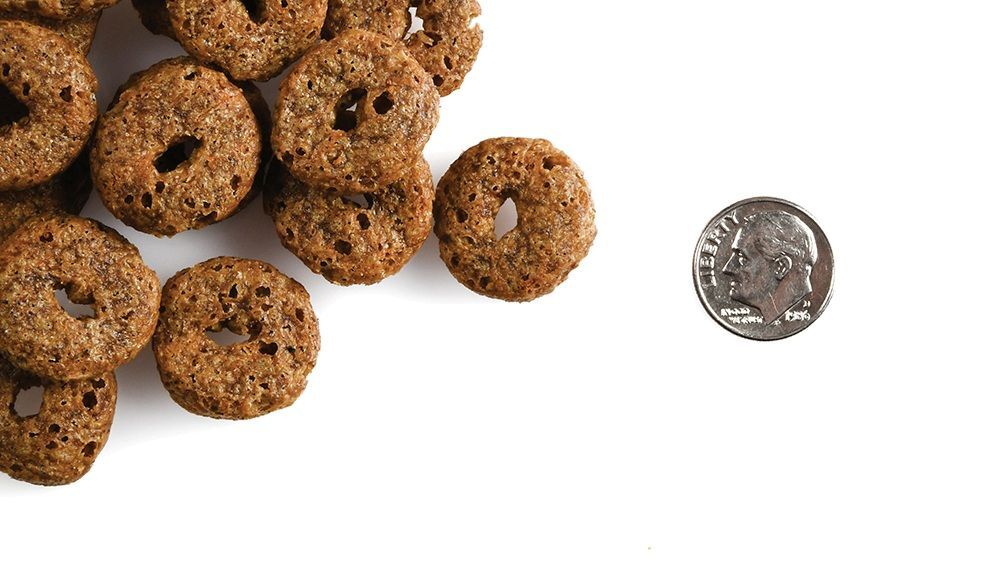 Fromm Crunchy Os Blueberry Blasts Flavor Dog Treats, 6-Oz