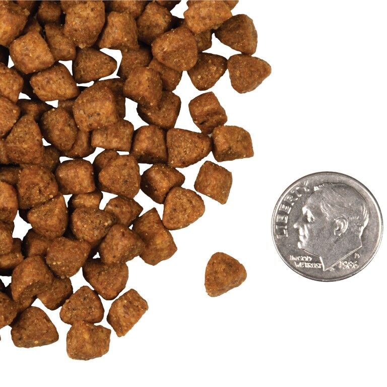 Fromm Hasen Duckenpfeffer Recipe Cat Food, 4-Lb