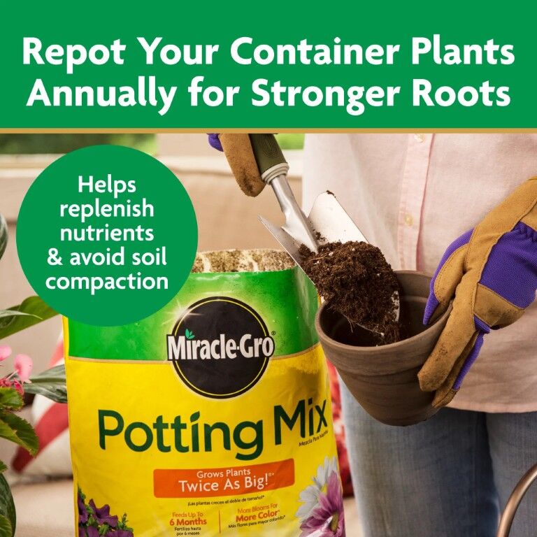 Miracle-Gro Potting Mix, for Container Plants, 50 qt.