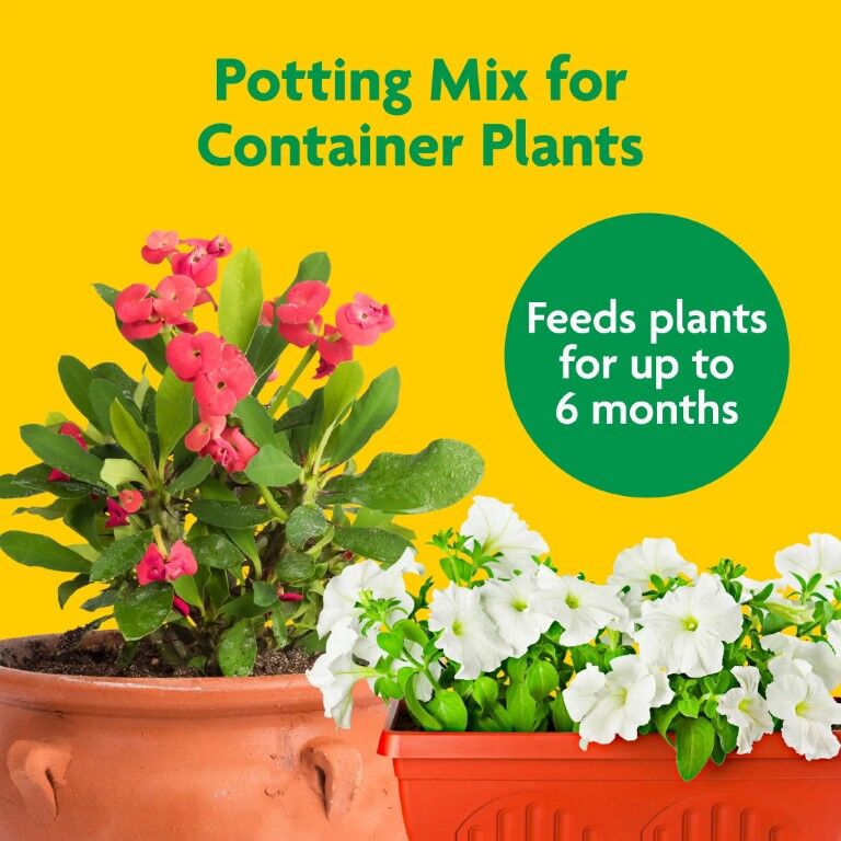 Miracle-Gro Potting Mix, for Container Plants, 50 qt.