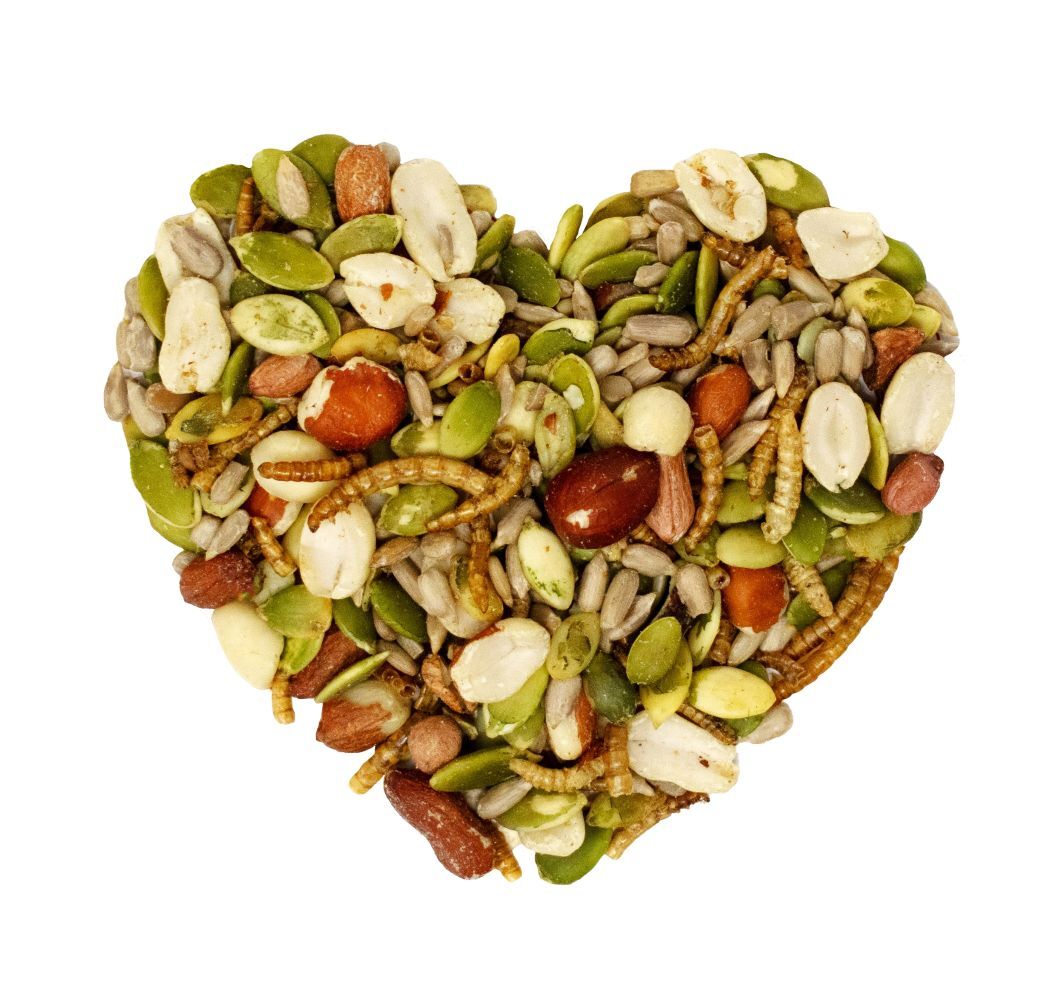 Love My Girls Pumpkin & Worms Gourmet Chicken Snack, 2-Lb