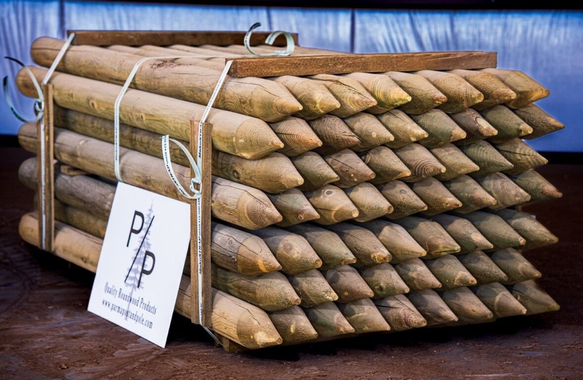 Parma Post & Pole Pointed Treated Wood Post, 5 in. x 7 ft.