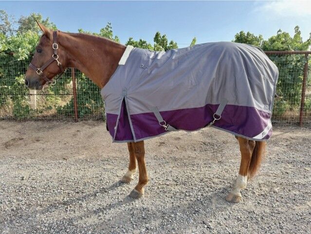 Professional's Choice 1200D Charcoal/Purple Horse Blanket, 75 in.