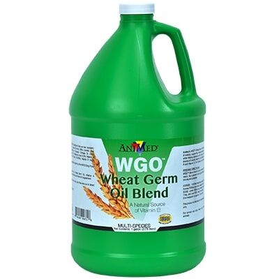 Animed WGO Wheat Germ Oil Blend, 128-Oz