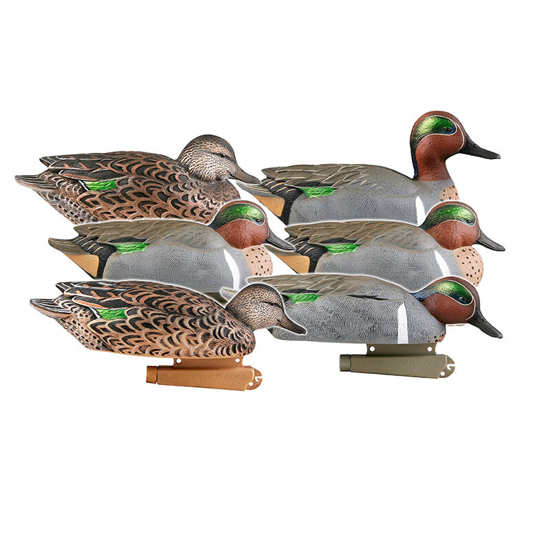Pro-Grade Green-Winged Teal, 6-Pk