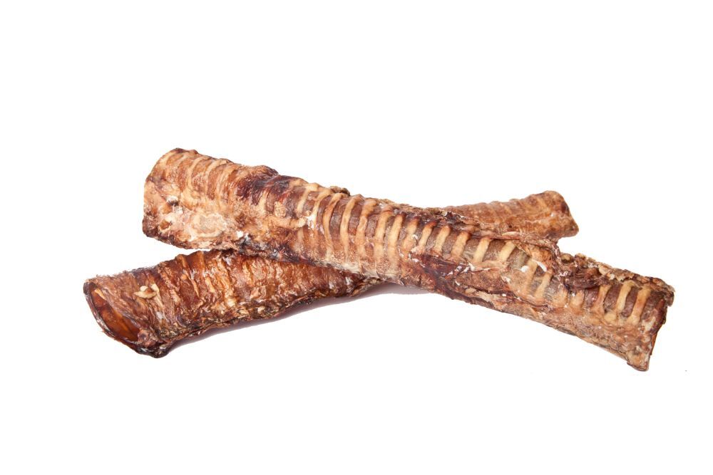 Best Buy Bones Beef Trachea, 12-In