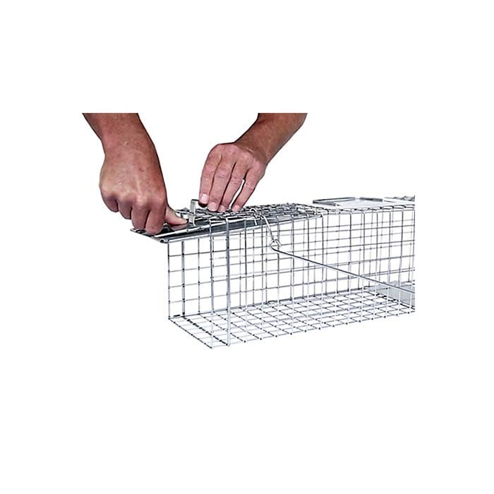 Havahart Medium 1-Door Animal Trap, 24-In X 7-In X 7-In