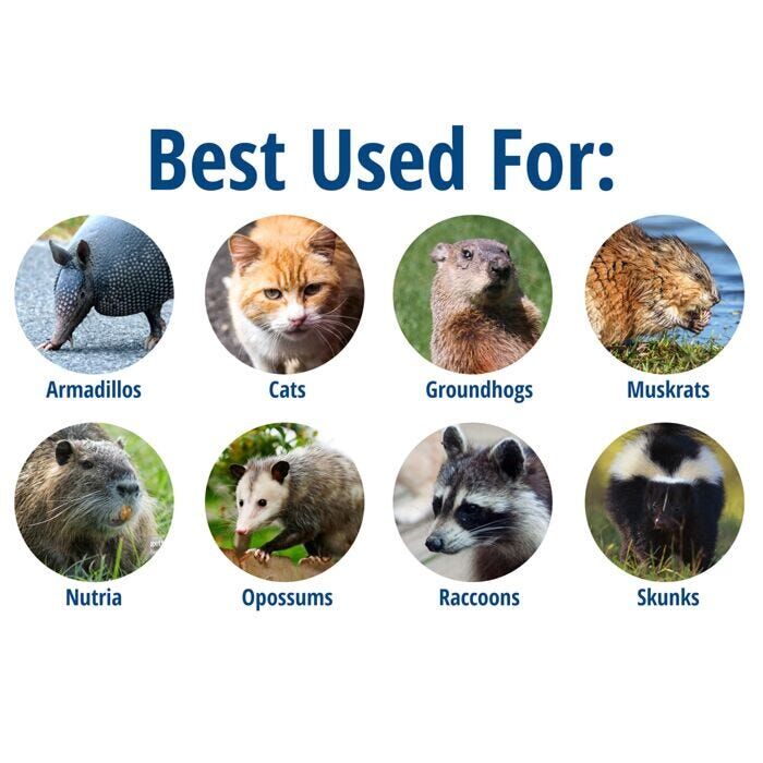 Havahart Easy Set Large 1-Door Animal Trap, 32-In X 10-In X 12-In