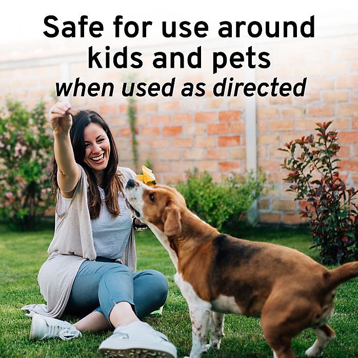 Victor Mouse & Rat Repellent Spray, 32-Oz