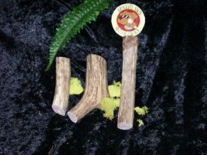 Elk Antler Chews