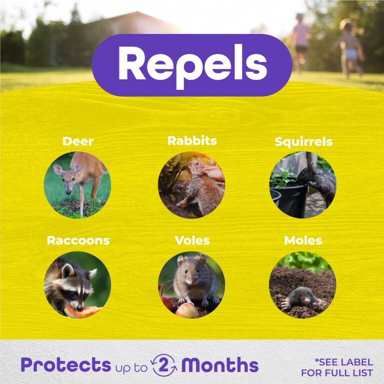 BONIDE Repels-All Animal Repellent Ready-to-Use, 32-Oz