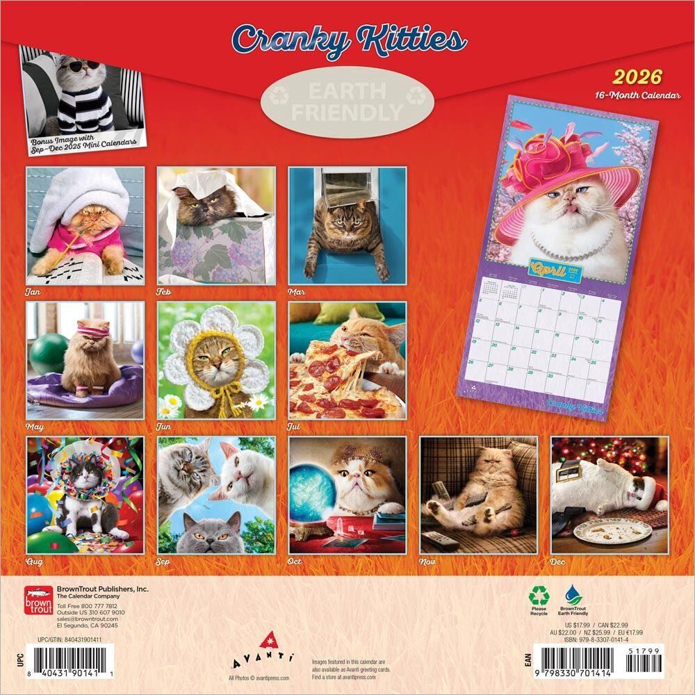 Brown Trout Publisher 2026 Avanti Cranky Kitties Monthly Square Wall Calendar, 12-In x 24-In