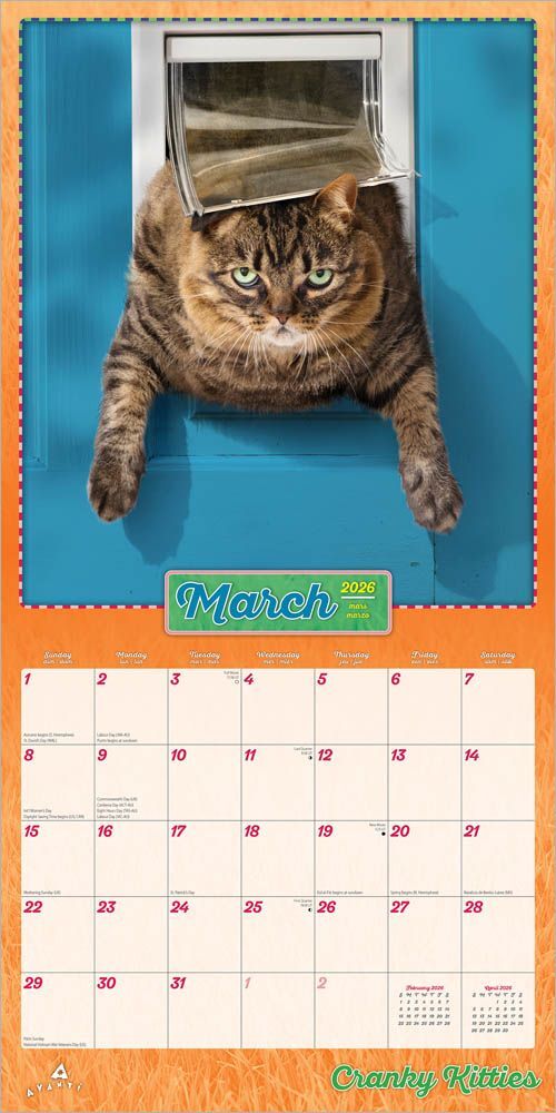 Brown Trout Publisher 2026 Avanti Cranky Kitties Monthly Square Wall Calendar, 12-In x 24-In