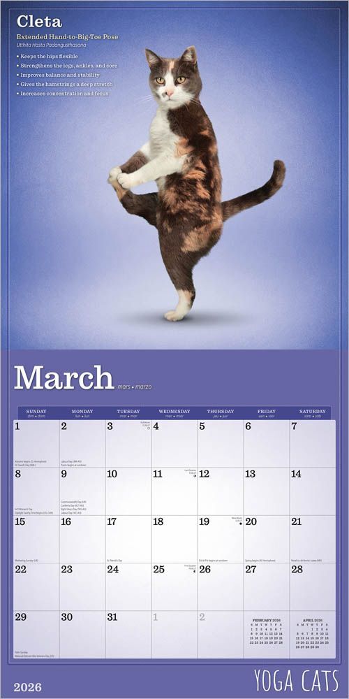 Brown Trout Publisher 2026 Yoga Cats Monthly Square Wall Calendar, 12-In x 24-In
