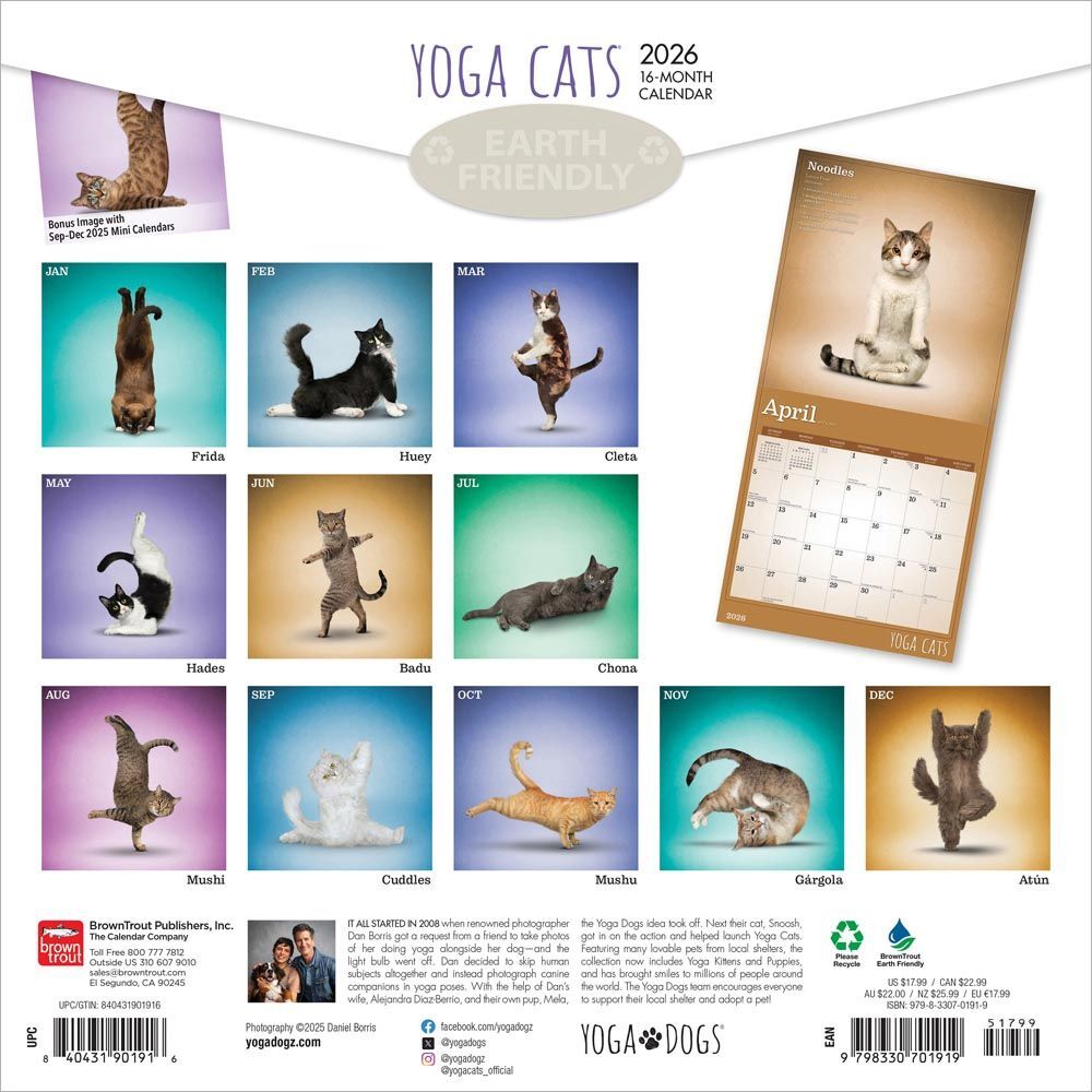 Brown Trout Publisher 2026 Yoga Cats Monthly Square Wall Calendar, 12-In x 24-In