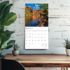 Brown Trout Publisher 2026 Arizona Wild & Scenic Monthly Square Wall Calendar, 12-In x 24-In
