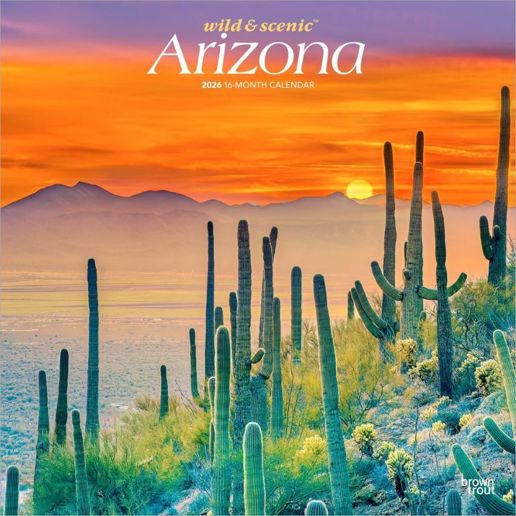Brown Trout Publisher 2026 Arizona Wild & Scenic Monthly Square Wall Calendar, 12-In x 24-In