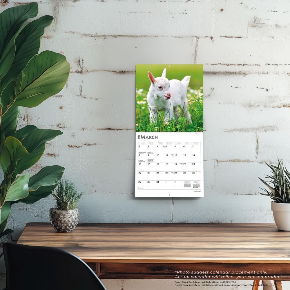 Brown Trout Publisher 2026 Baby Goats Monthly Mini Wall Calendar, 7-In x 14-In