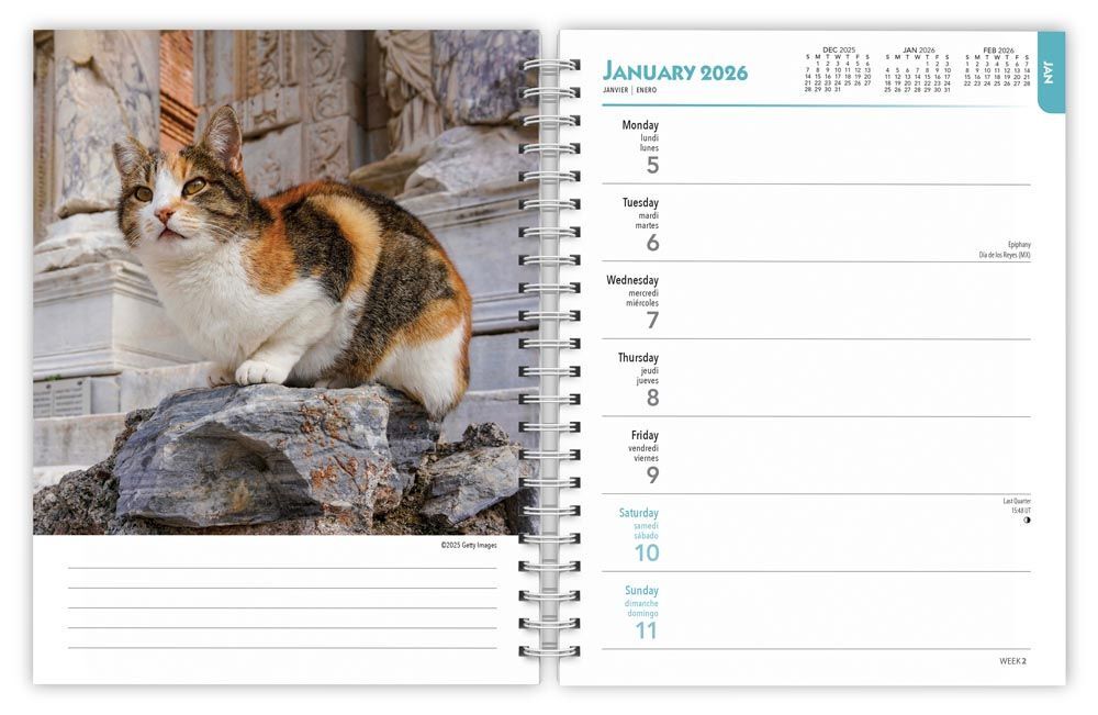 Brown Trout Publisher 2026 Cat Lovers Spiral-Bound Weekly Engagement Planner Calendar, 6 x 7.75-In