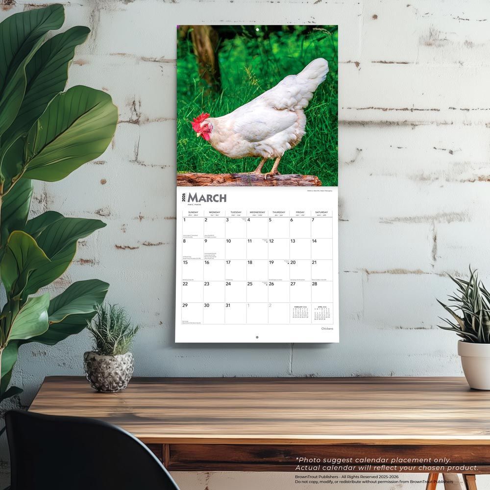 Brown Trout Publisher 2026 Chickens Monthly Square Wall Calendar, 12-In x 24-In