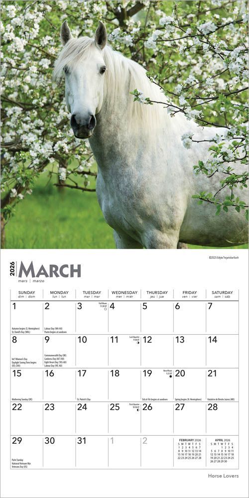 Brown Trout Publisher 2026 Horse Lover Monthly Mini Wall Calendar, 7-In x 14-In