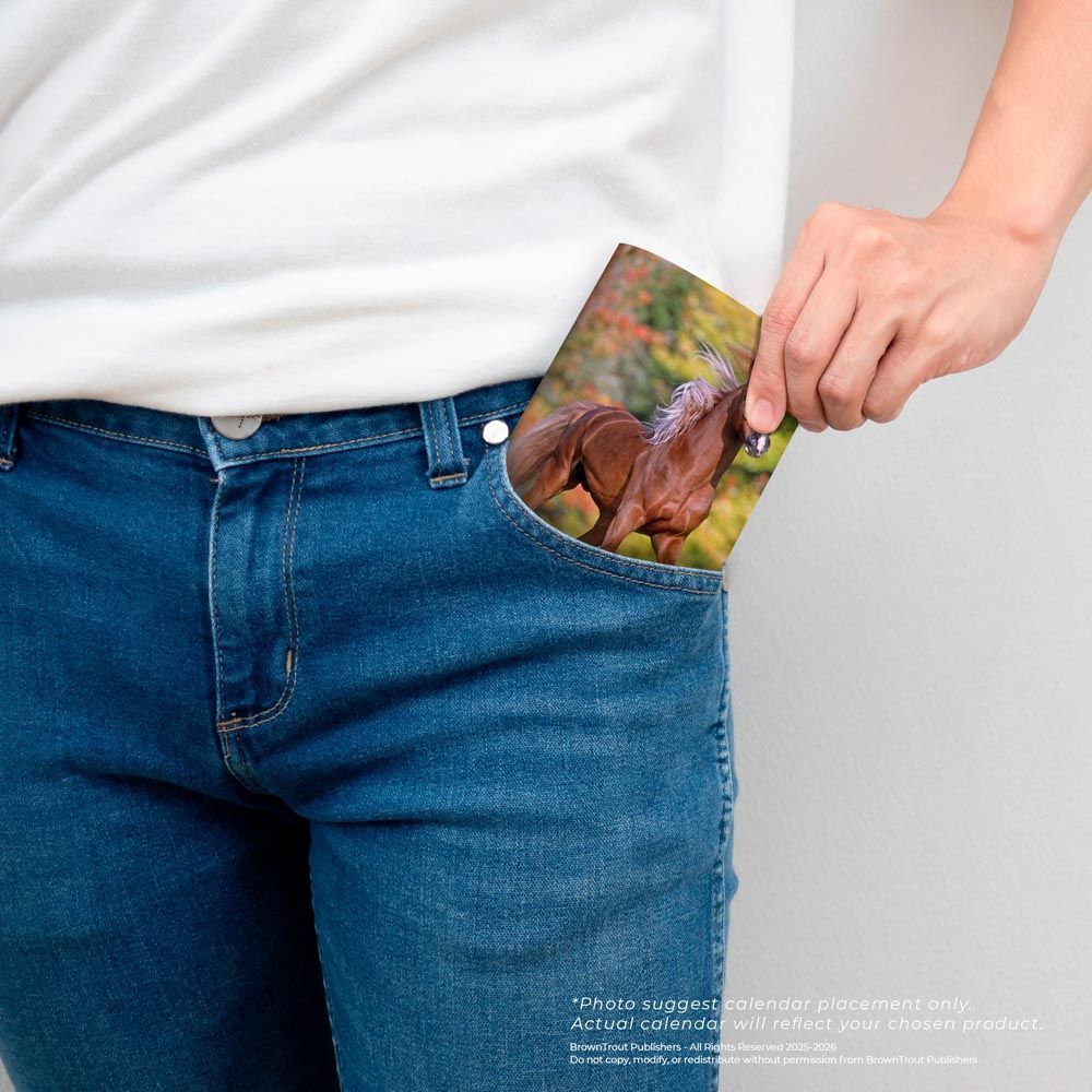 Brown Trout Publisher 2026-2027 Horse Lovers Monthly Pocket Planner Calendar, 3.5-In x 6.5-In