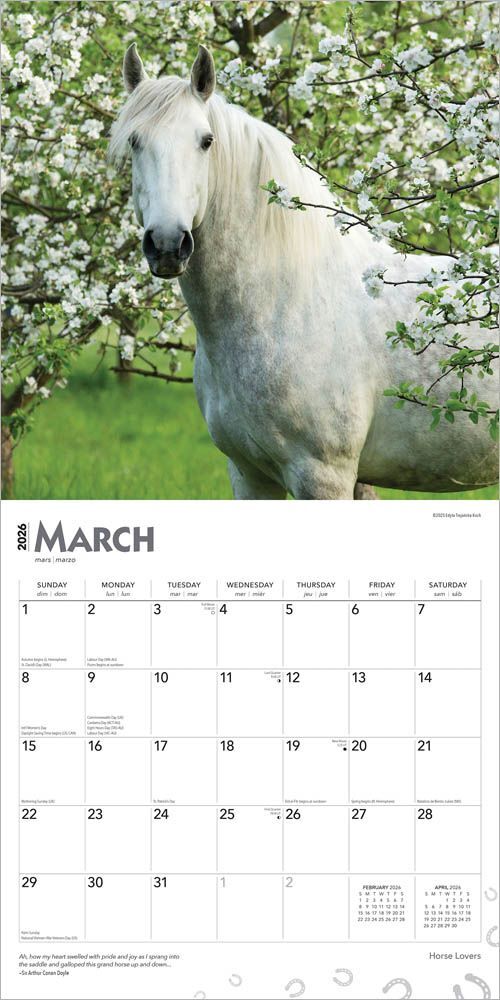 Brown Trout Publisher 2026 Horse Lovers Monthly Square Wall Calendar, 12-In x 24-In