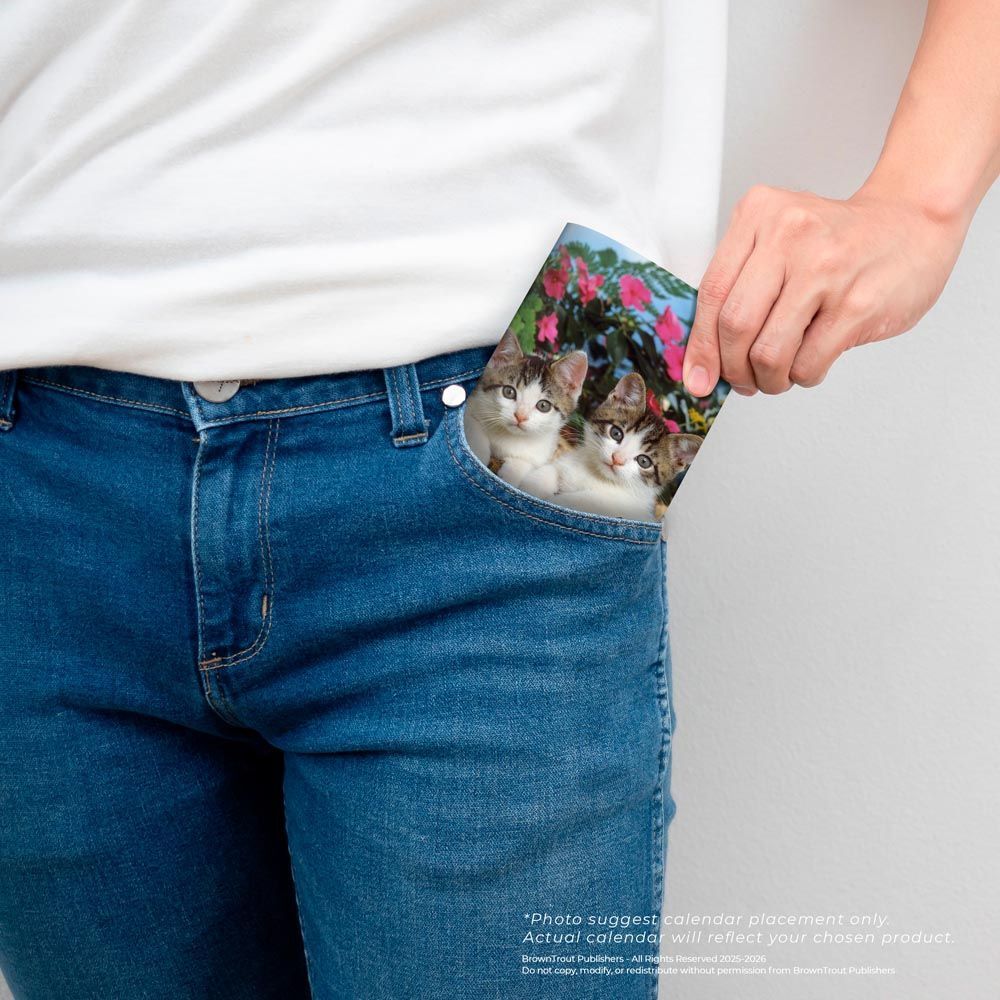 Brown Trout Publisher 2026-2027 Kitten Cuddles Monthly Pocket Planner Calendar, 3.5-In x 6.5-In