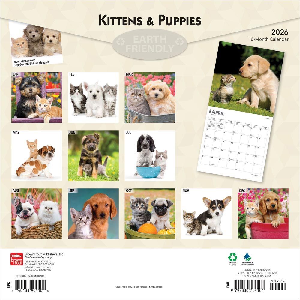 Brown Trout Publisher 2026 Kittens & Puppies Monthly Square Wall Calendar, 12-In x 24-In