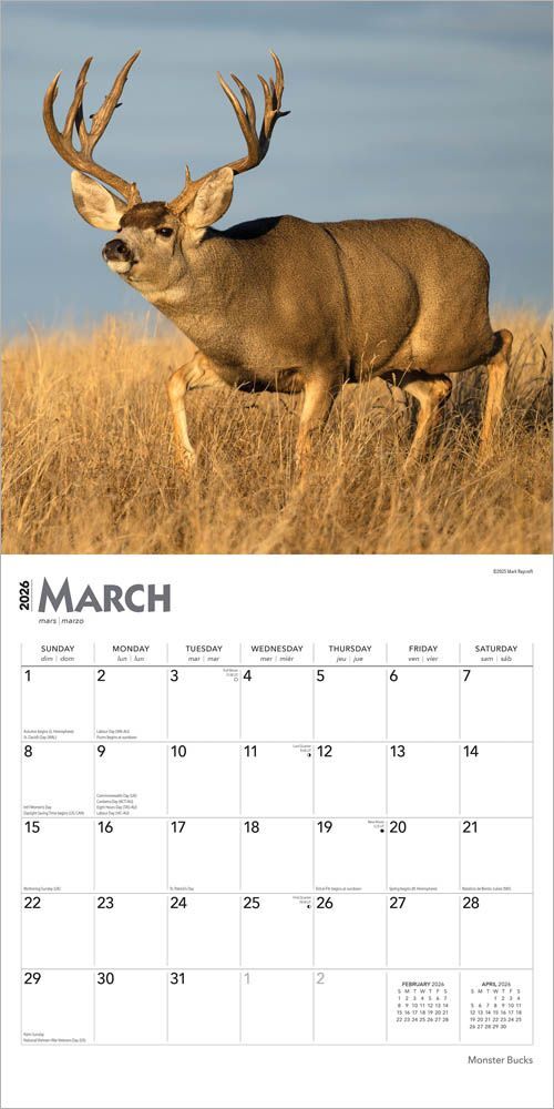 Brown Trout Publisher 2026 Moster Bucks Monthly Square Wall Calendar, 12-In x 24-In