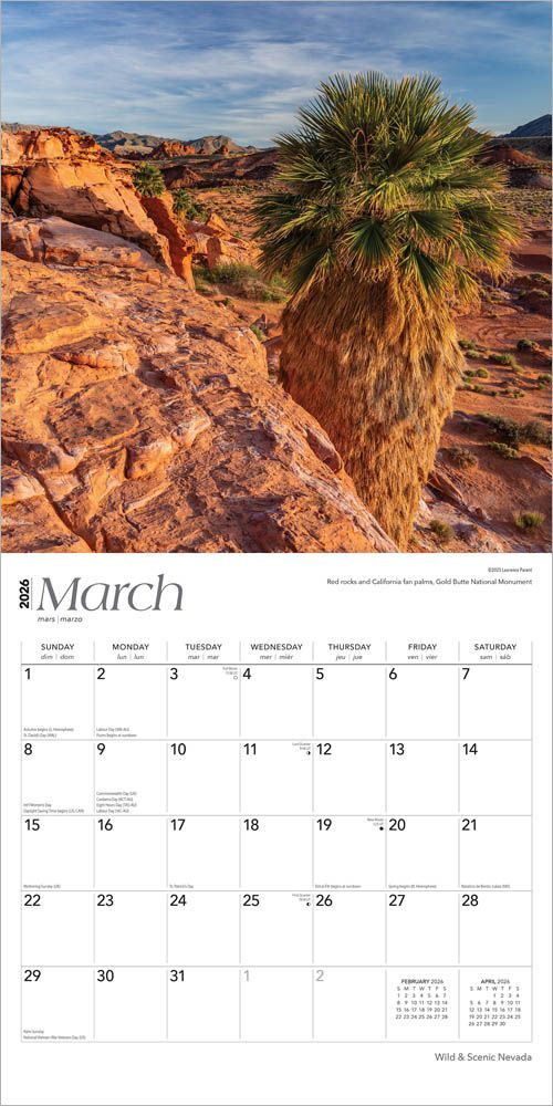 Brown Trout Publisher 2026 Navada Wild & Scenic Monthly Square Wall Calendar, 12-In x 24-In