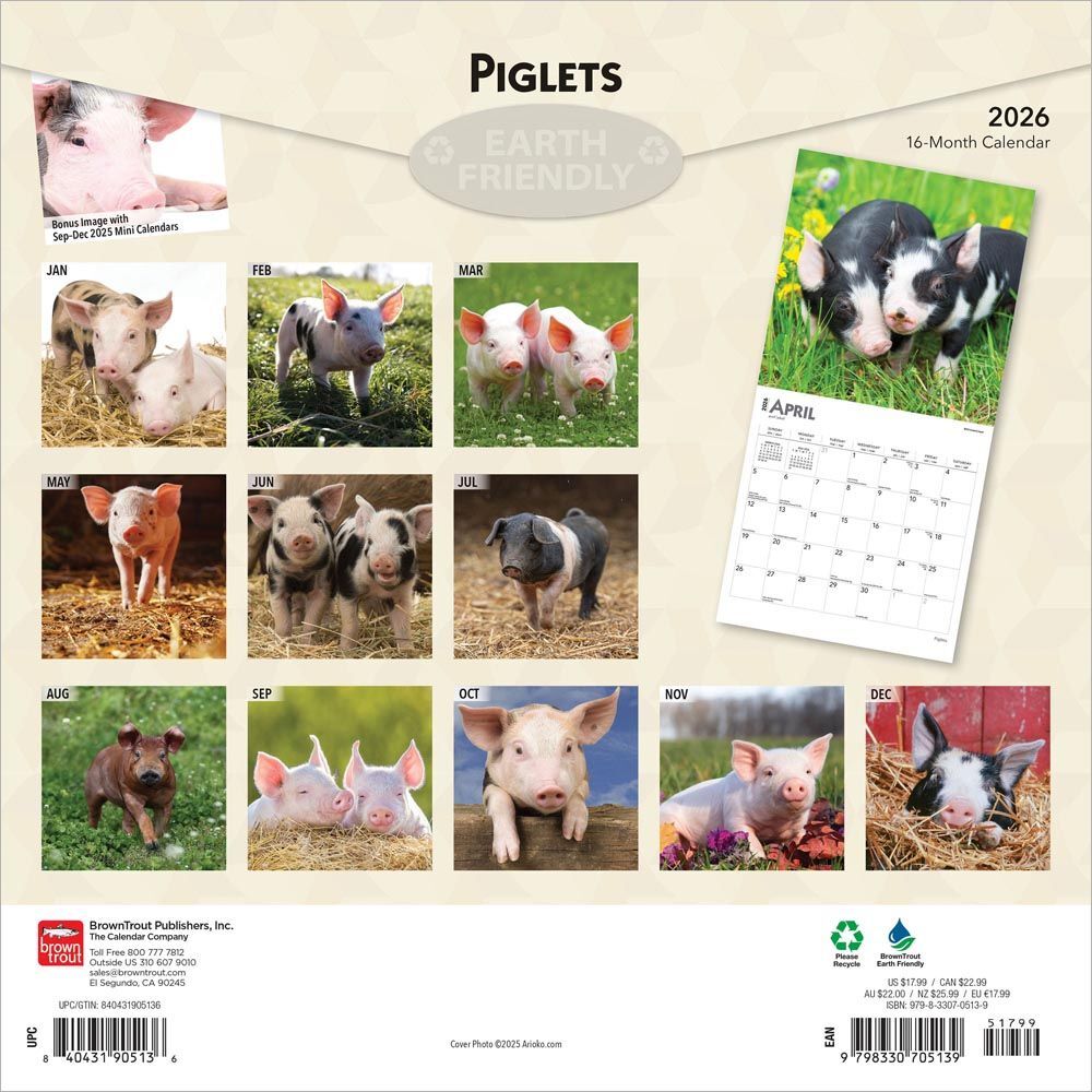 Brown Trout Publisher 2026 Piglets Monthly Square Wall Calendar, 12-In x 24-In