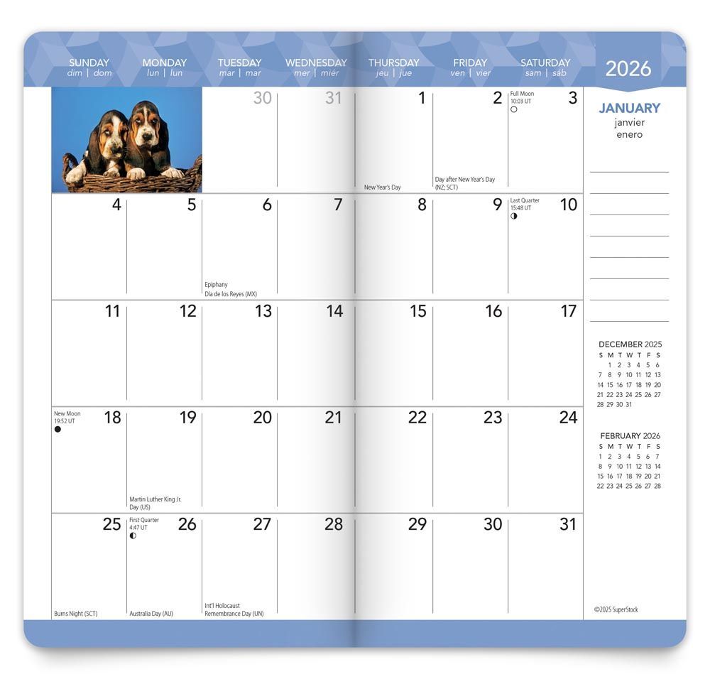 Brown Trout Publisher 2026-2027 I Love Puppies Monthly Pocket Planner Calendar, 3.5-In x 6.5-In