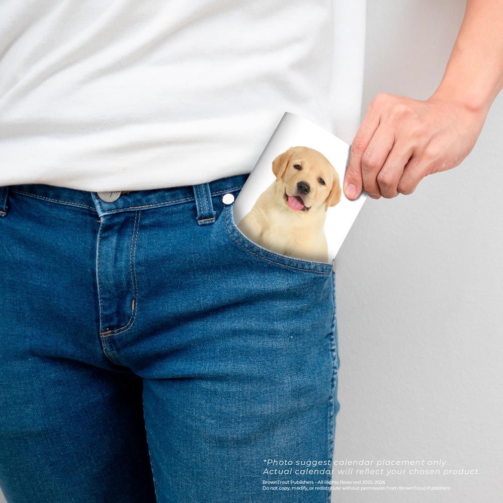 Brown Trout Publisher 2026-2027 I Love Puppies Monthly Pocket Planner Calendar, 3.5-In x 6.5-In