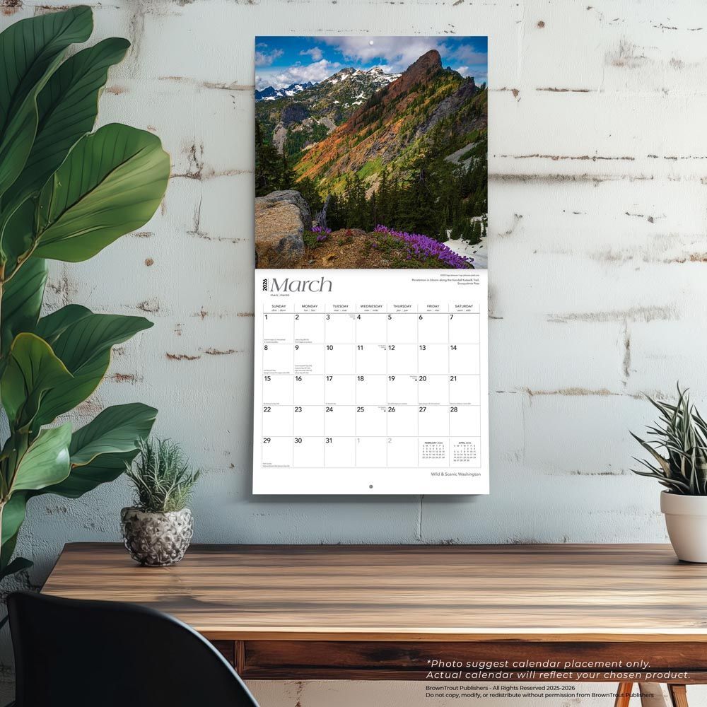 Brown Trout Publisher 2026 Washington Wild & Scenic Monthly Square Wall Calendar, 12-In x 24-In