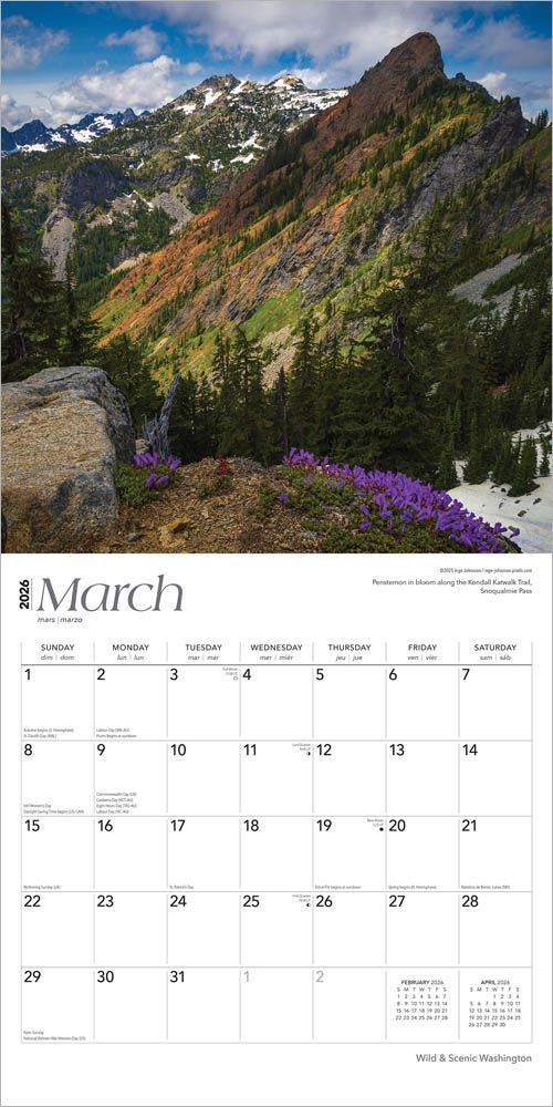 Brown Trout Publisher 2026 Washington Wild & Scenic Monthly Square Wall Calendar, 12-In x 24-In
