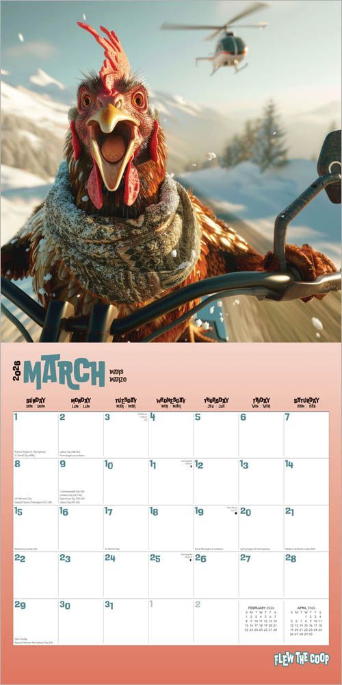 Brown Trout Publisher 2026 Flew the Coop Monthly Square Wall Calendar, 12-In x 24-In