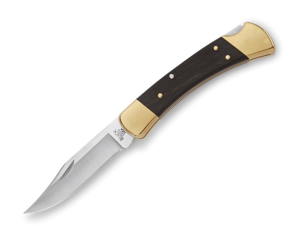 Buck Knives 110 Folding Hunter Knife, 3 3/4-In