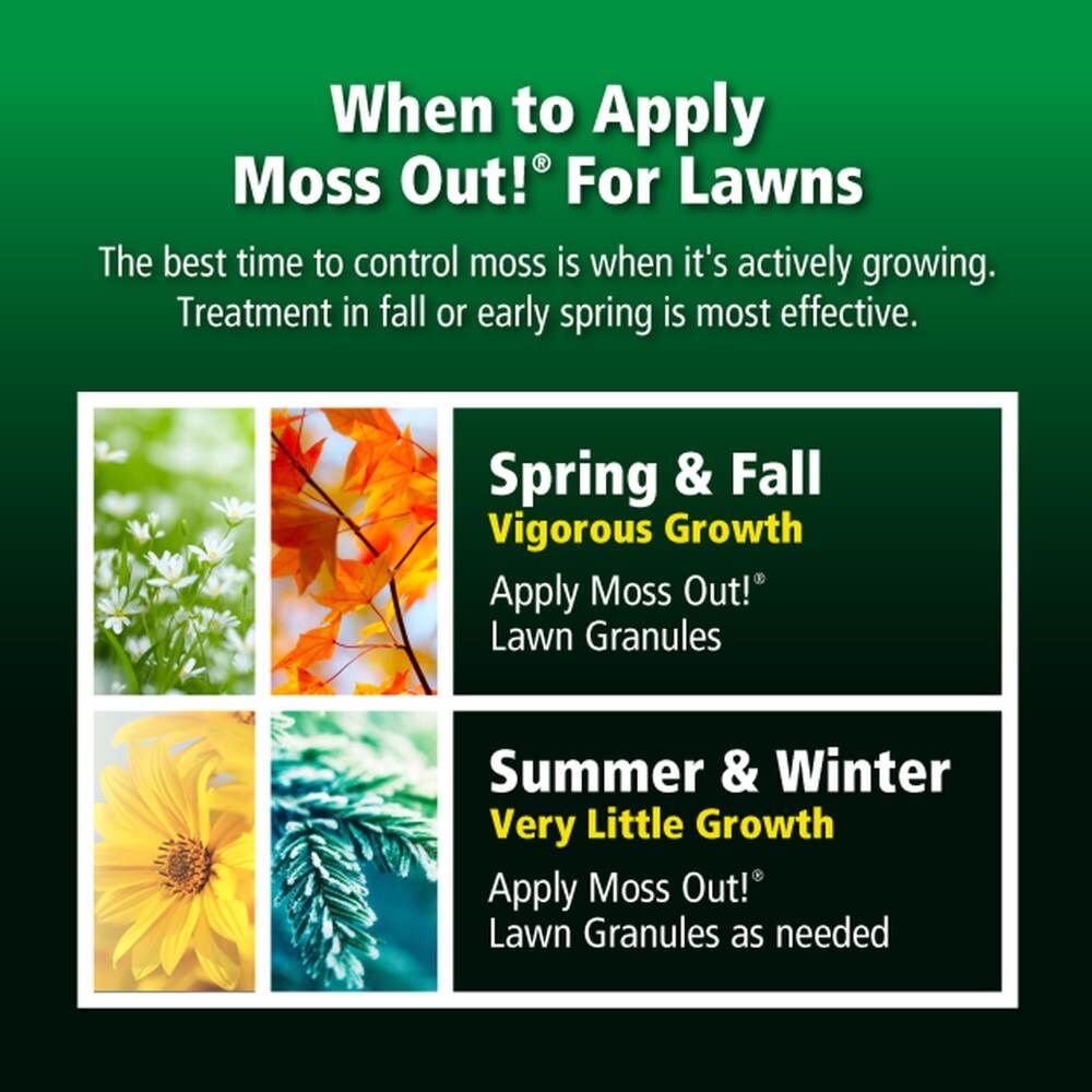Moss Out! Lawn Granules, 20-Lb