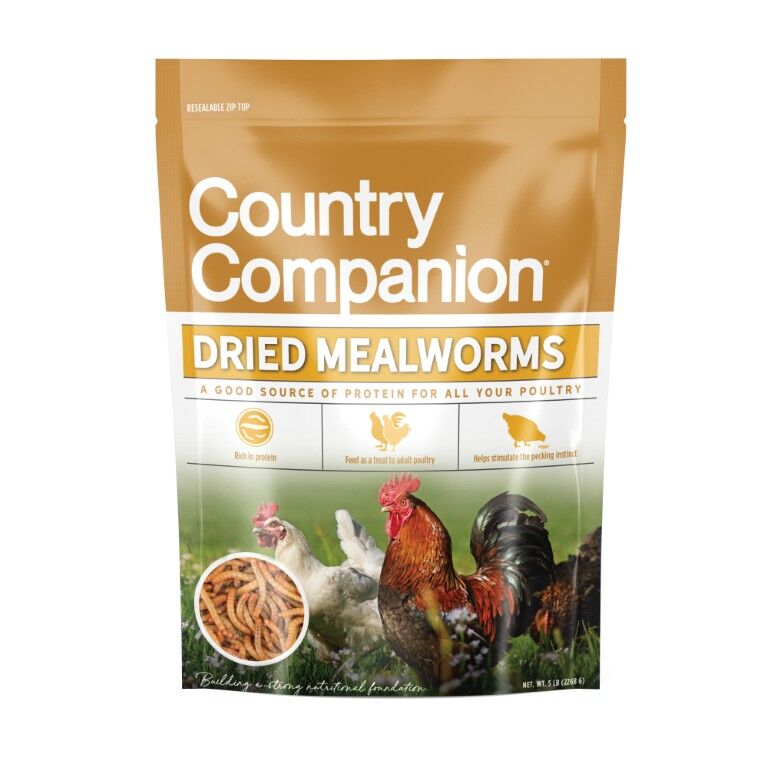 Country Companion Dried Mealworms, 5-Lb