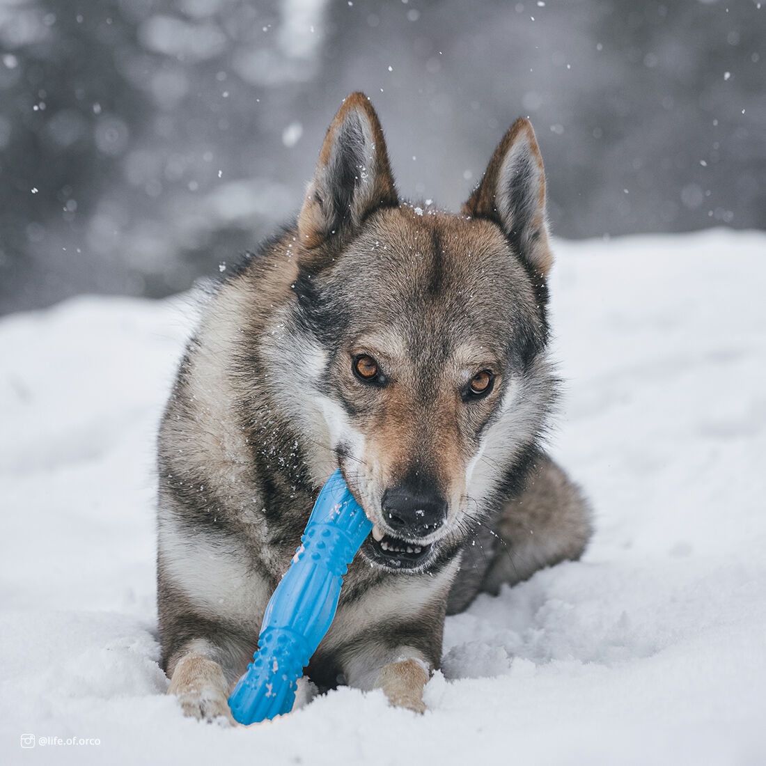 Profit Foam Toy Stick