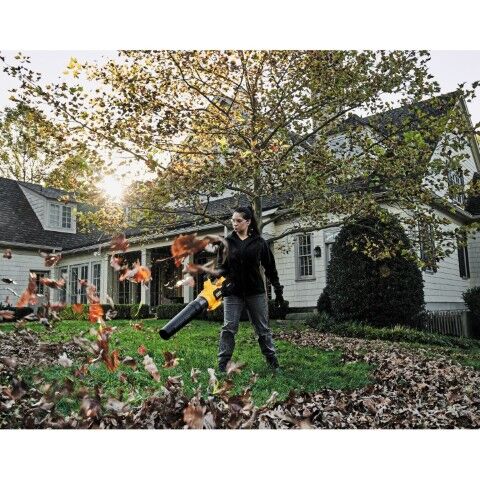 DeWALT 60V MAX* FLEXVOLT® Cordless Handheld Axial Blower