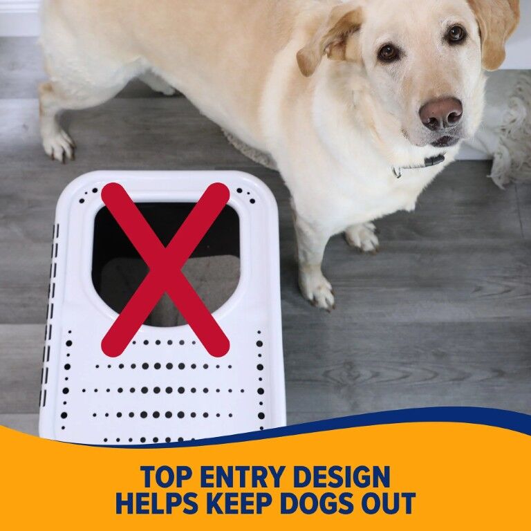 Petmate Arm & Hammer Top Entry Litter Box