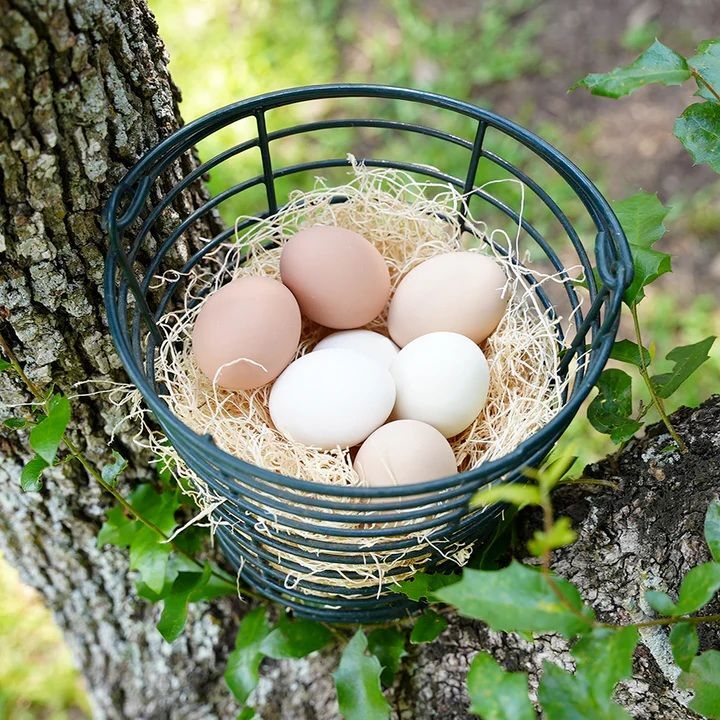 Happy Hen Treats Nesting Pads, 15-Pk