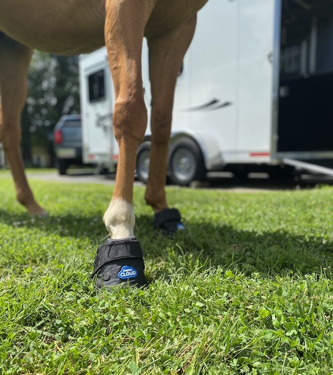 Easyboot Cloud Therapy Hoof Boot Size 3 in Black
