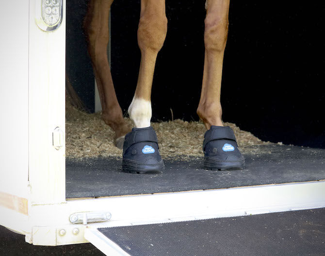 Easyboot Cloud Therapy Hoof Boot Size 4 in Black