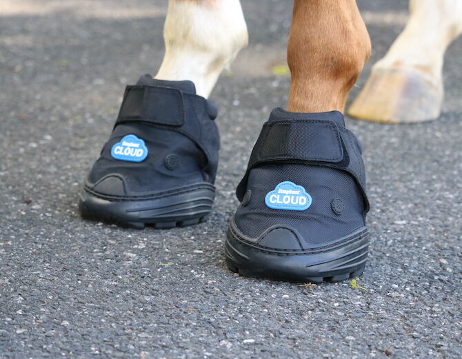 Easyboot Cloud Therapy Hoof Boot Size 4 in Black