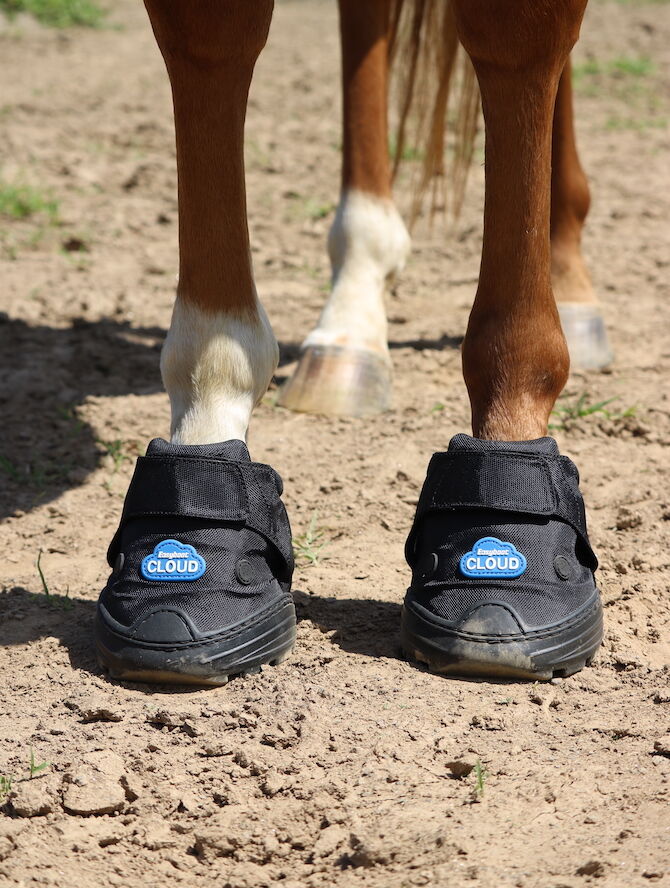 Easyboot Cloud Therapy Hoof Boot Size 4 in Black